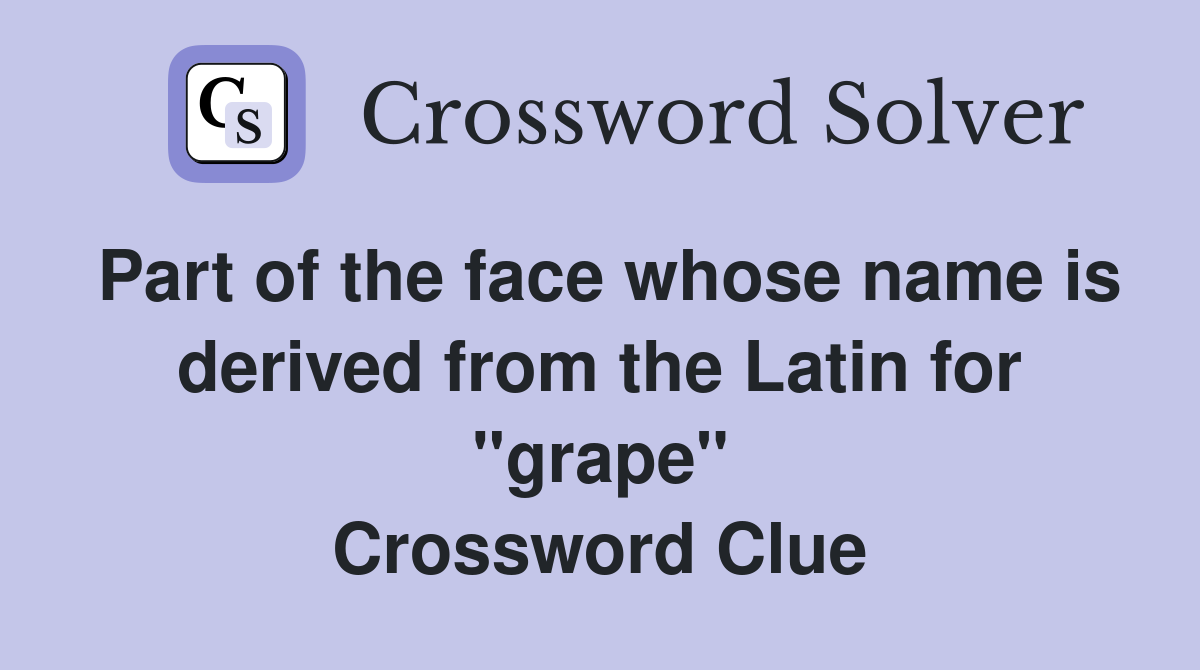 Part of the face whose name is derived from the Latin for "grape" Crossword Clue