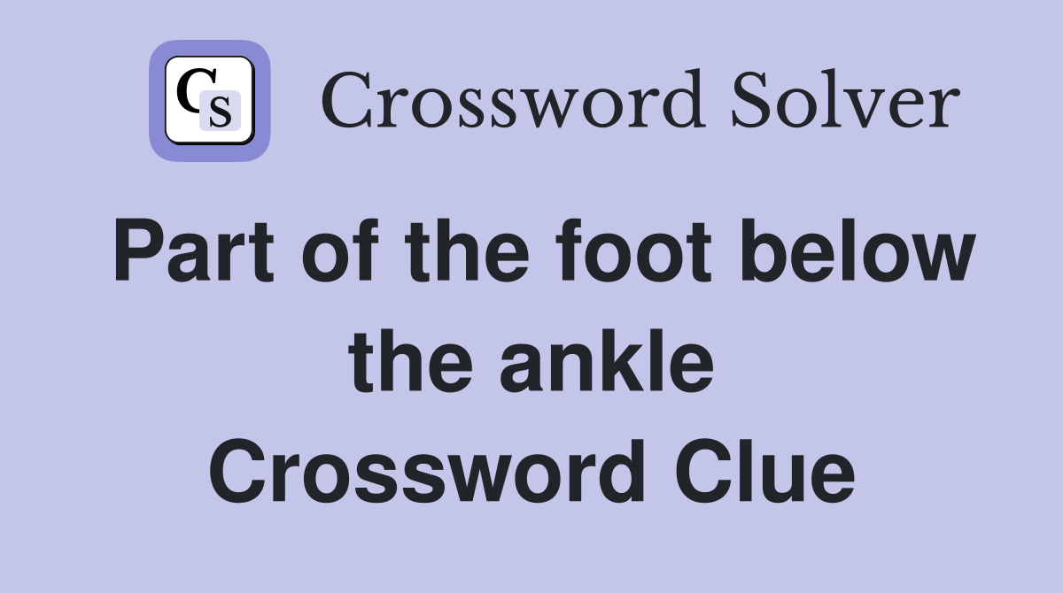 Part of the foot below the ankle Crossword Clue