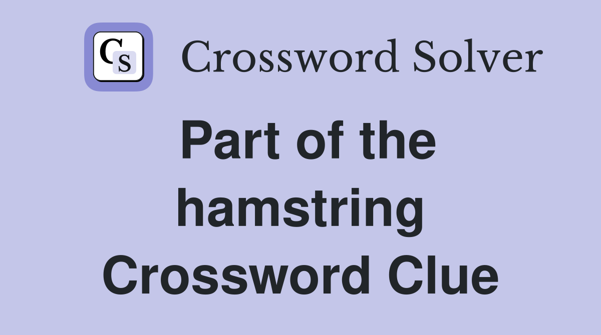 Part of the hamstring Crossword Clue