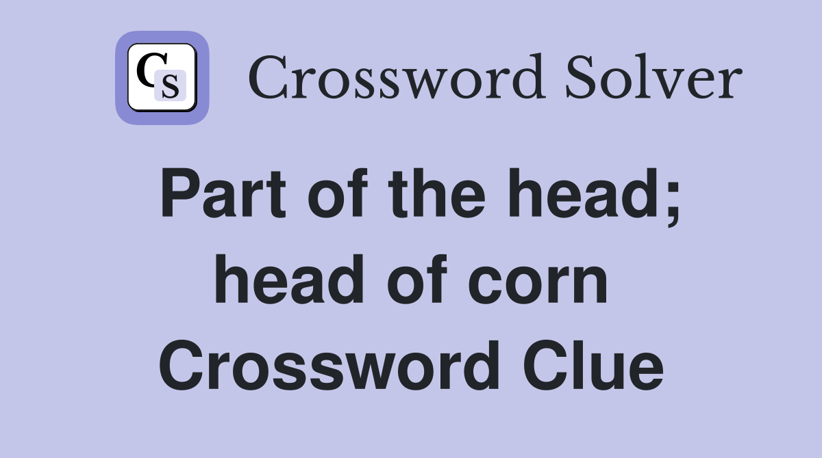 Part of the head; head of corn Crossword Clue