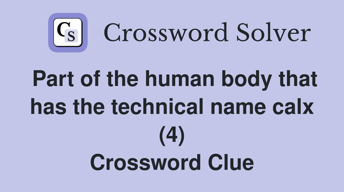 Part of the human body that has the technical name calx (4) Crossword Clue