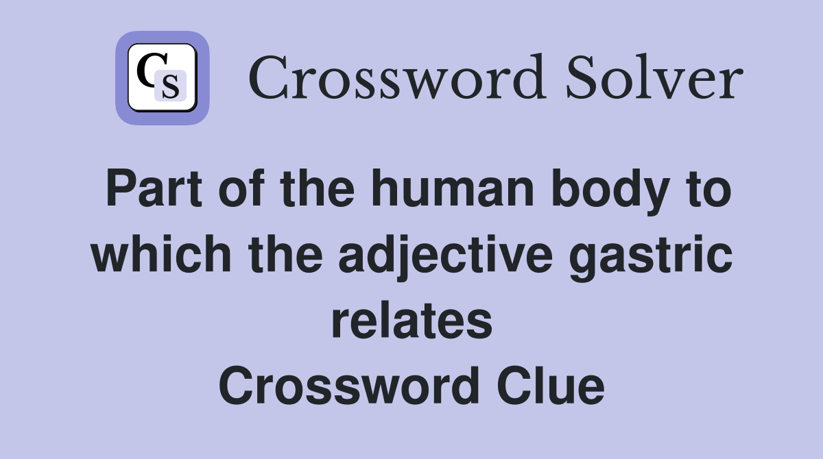 Part of the human body to which the adjective gastric relates Crossword Clue