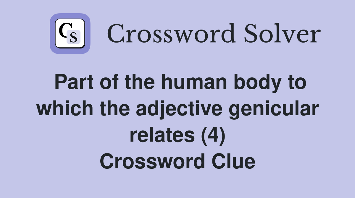 Part of the human body to which the adjective genicular relates (4) Crossword Clue