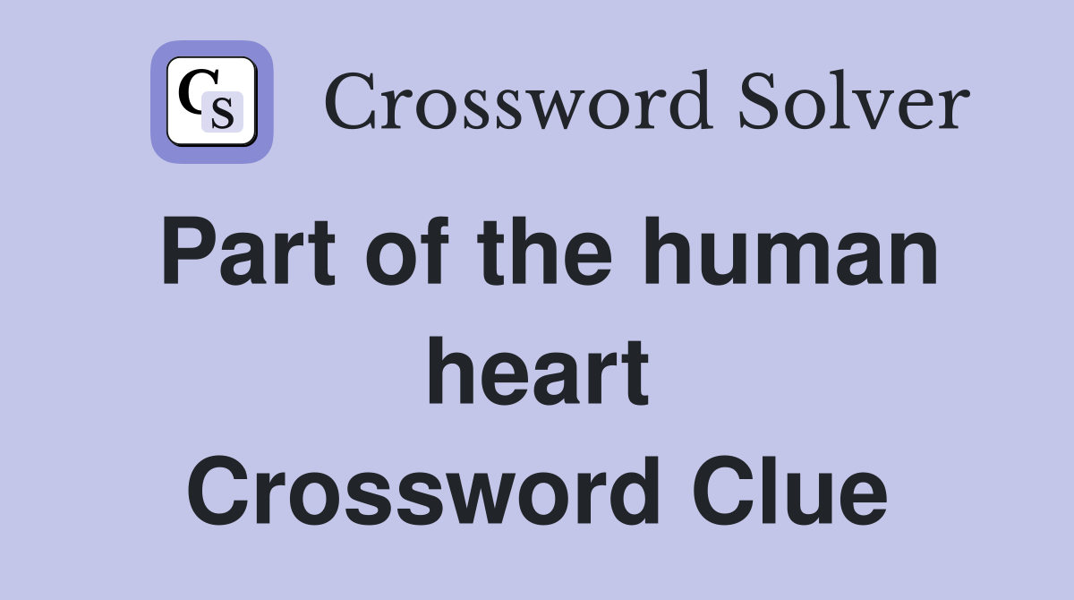 Part of the human heart Crossword Clue