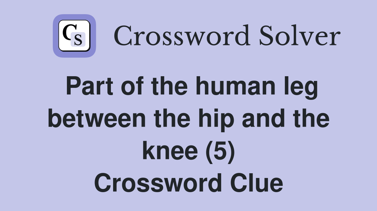 Part of the human leg between the hip and the knee (5) Crossword Clue