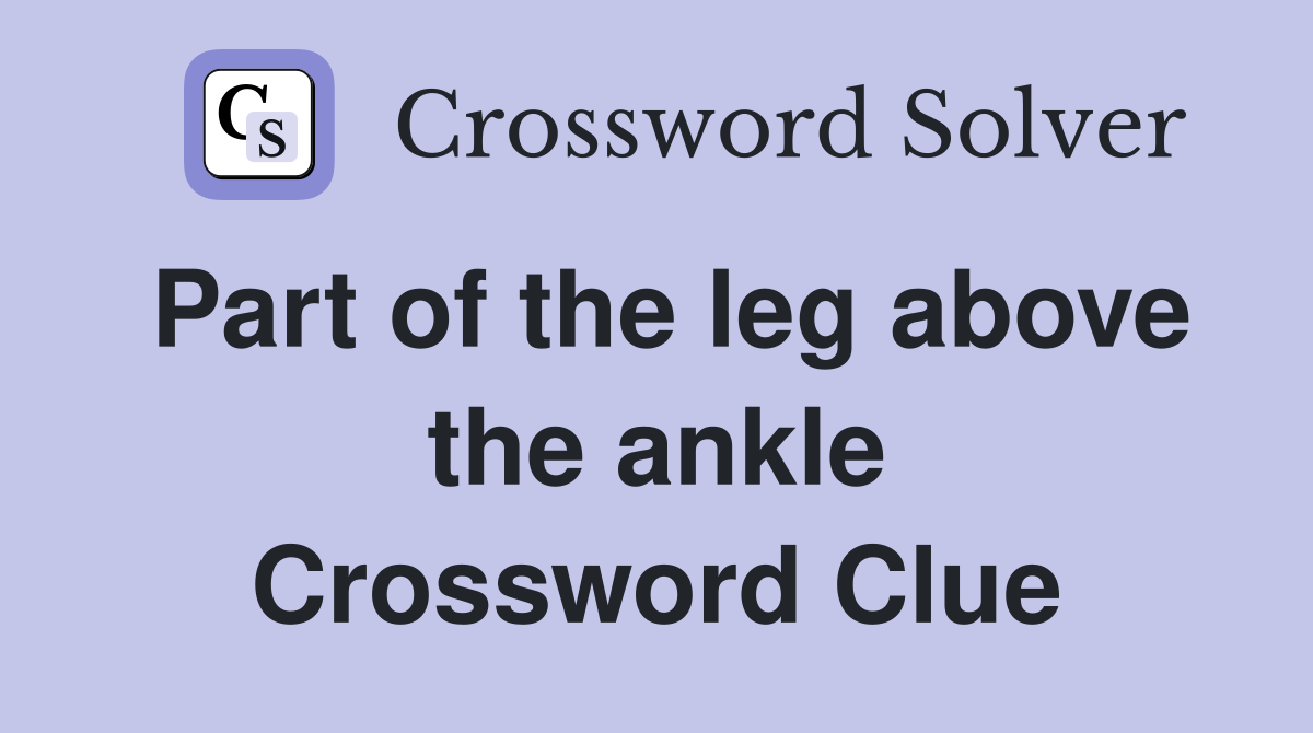 Part of the leg above the ankle Crossword Clue