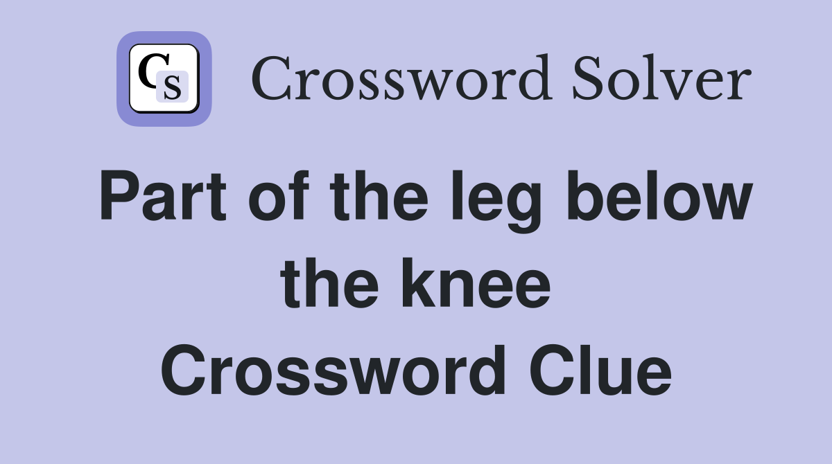 Part of the leg below the knee Crossword Clue