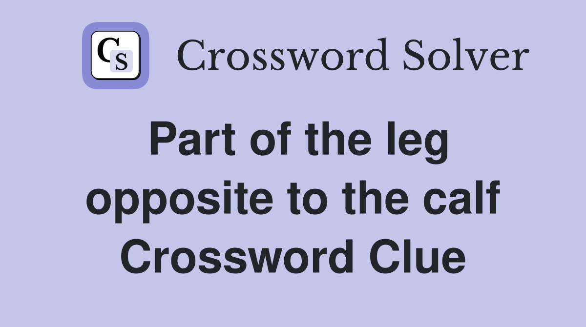 Part of the leg opposite to the calf Crossword Clue