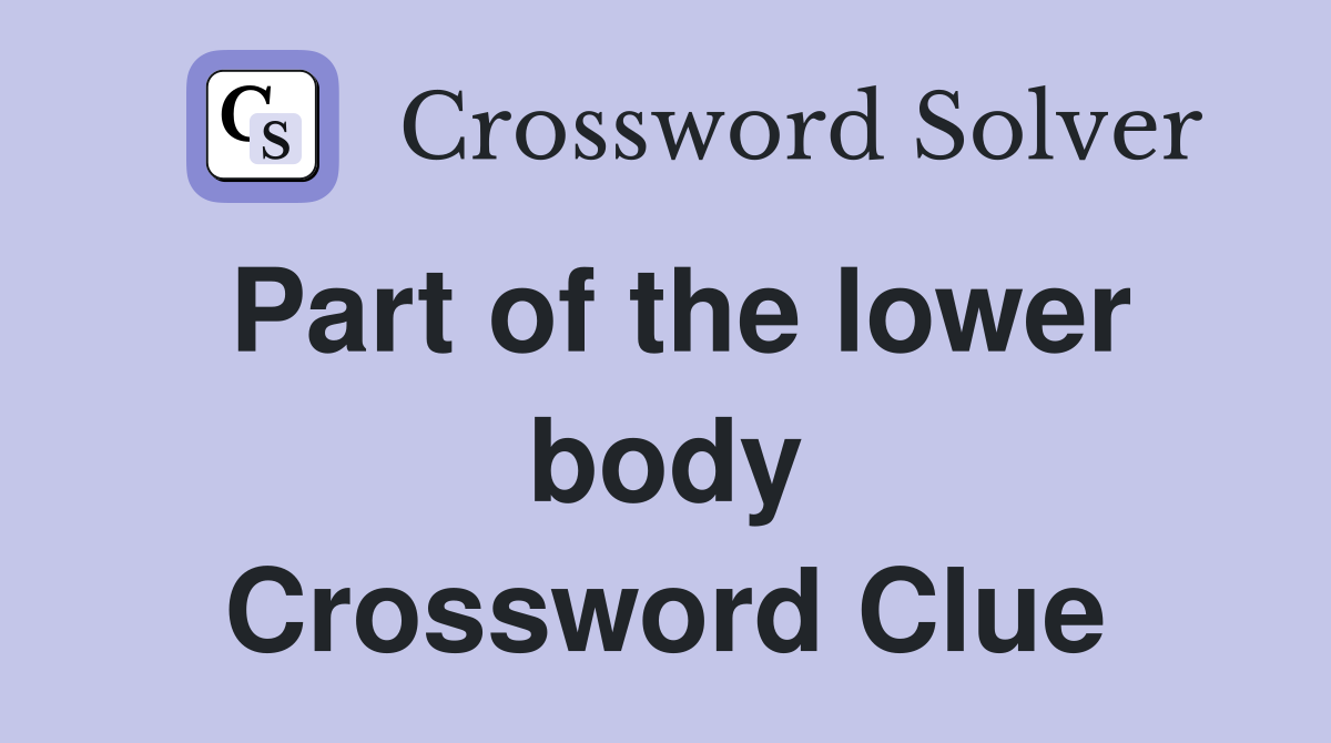 Part of the lower body Crossword Clue