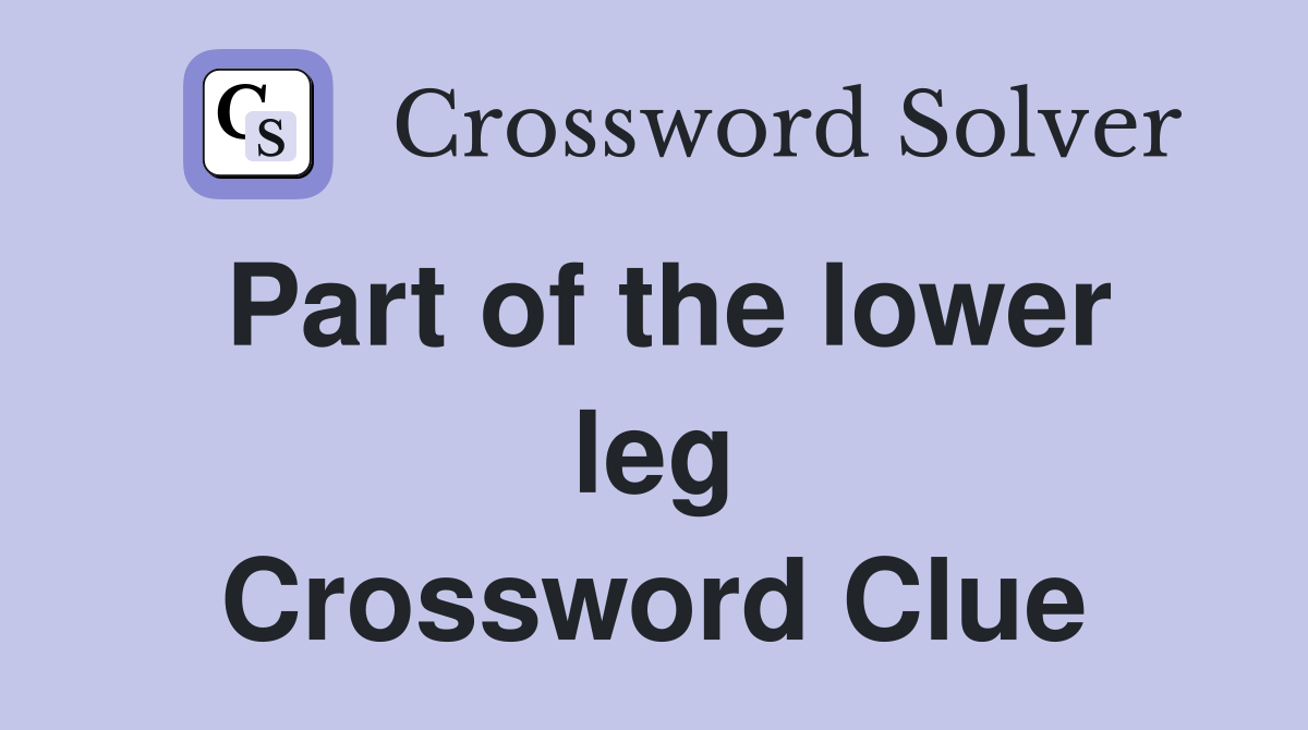Part of the lower leg Crossword Clue