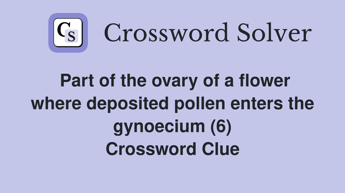 Part of the ovary of a flower where deposited pollen enters the gynoecium (6) Crossword Clue