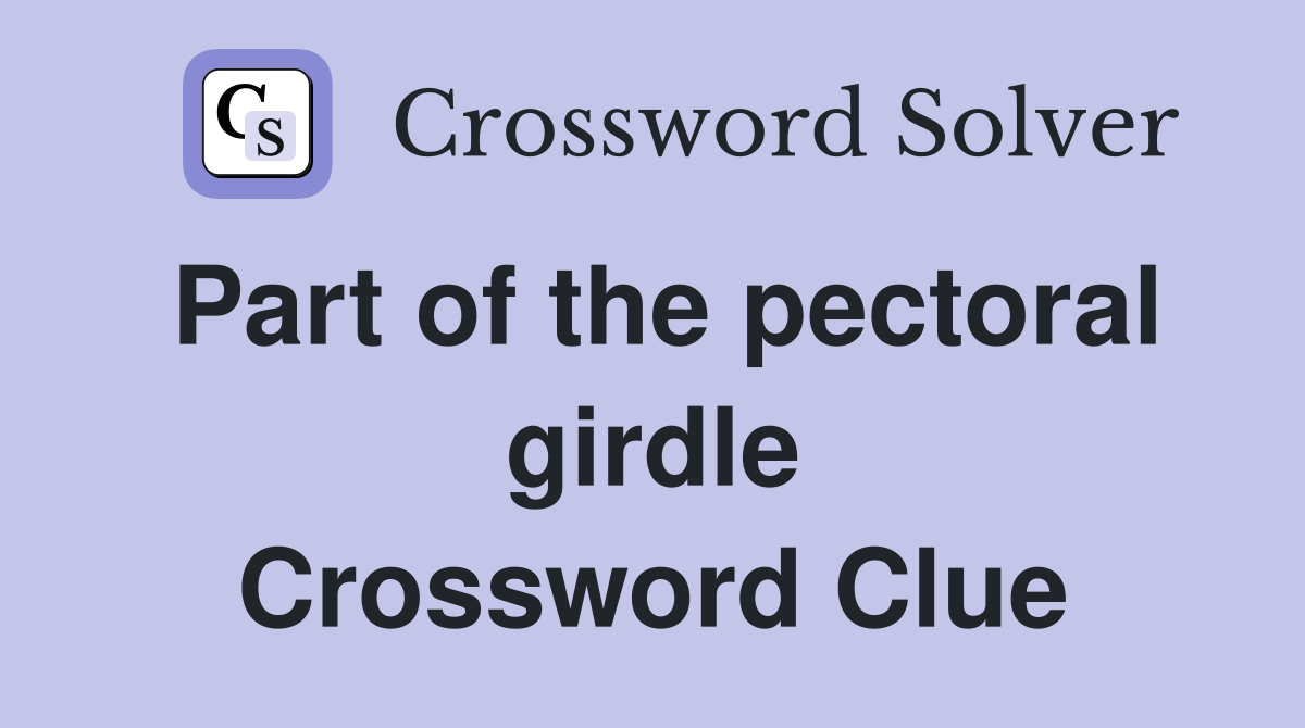 Part of the pectoral girdle Crossword Clue
