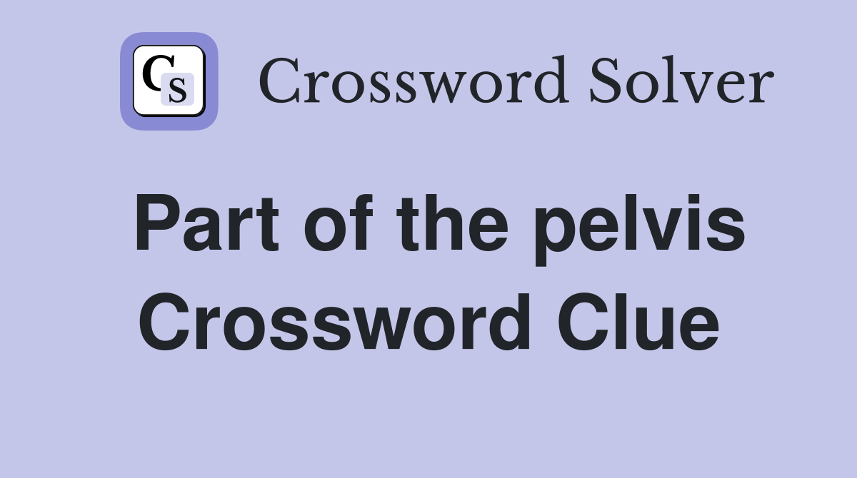 Part of the pelvis Crossword Clue