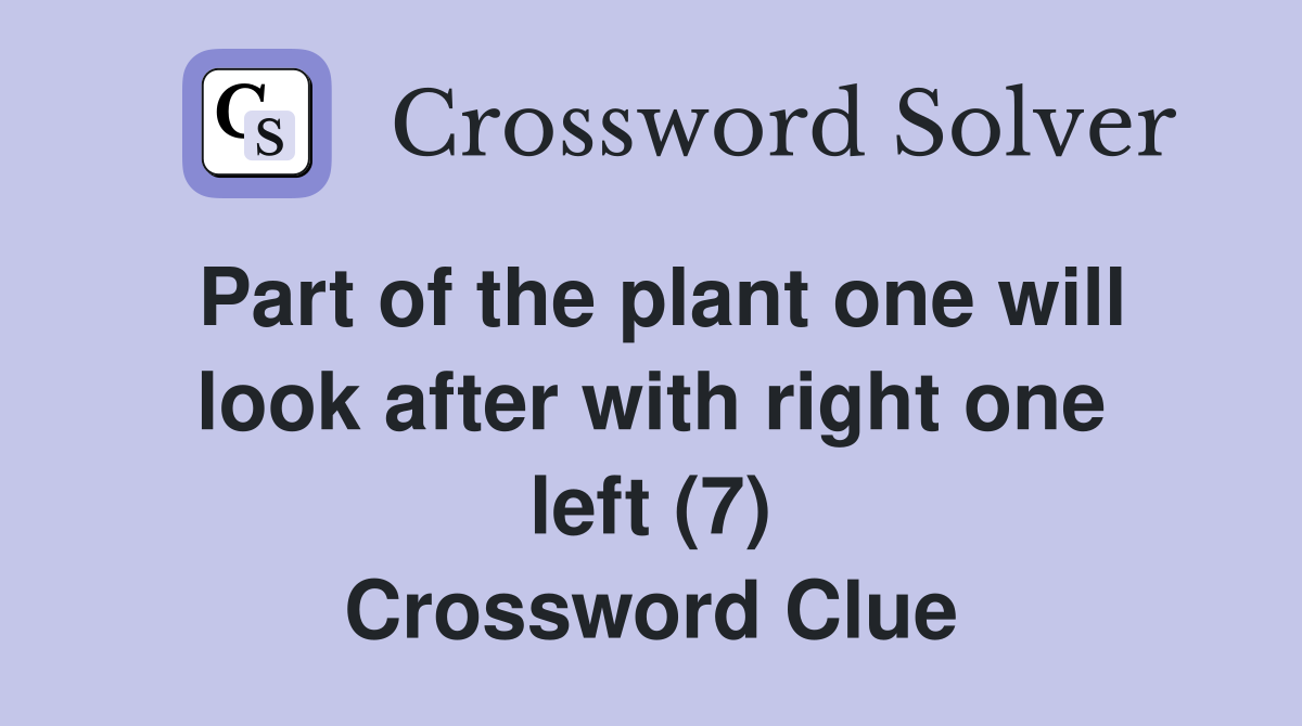 Part of the plant one will look after with right one left (7) Crossword Clue