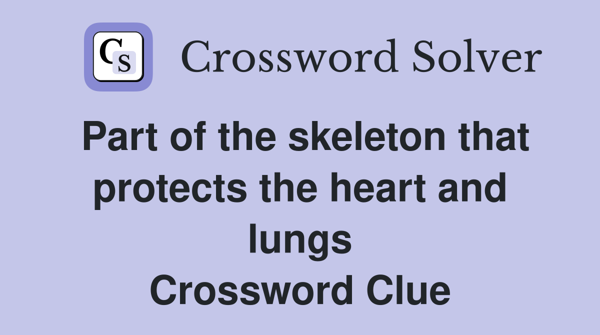 Part of the skeleton that protects the heart and lungs Crossword Clue
