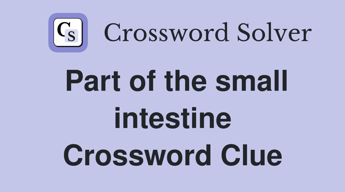 Part of the small intestine Crossword Clue