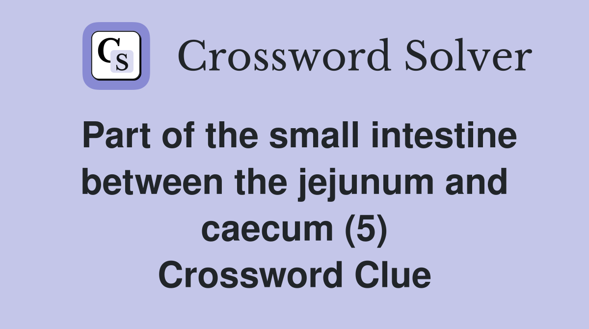 Part of the small intestine between the jejunum and caecum (5) Crossword Clue