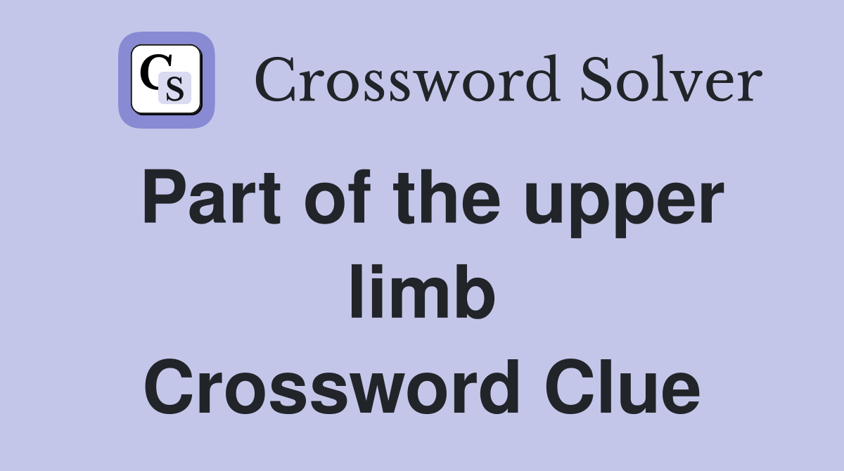 Part of the upper limb Crossword Clue