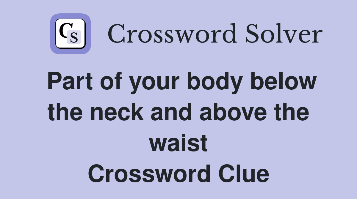 Part of your body below the neck and above the waist Crossword Clue