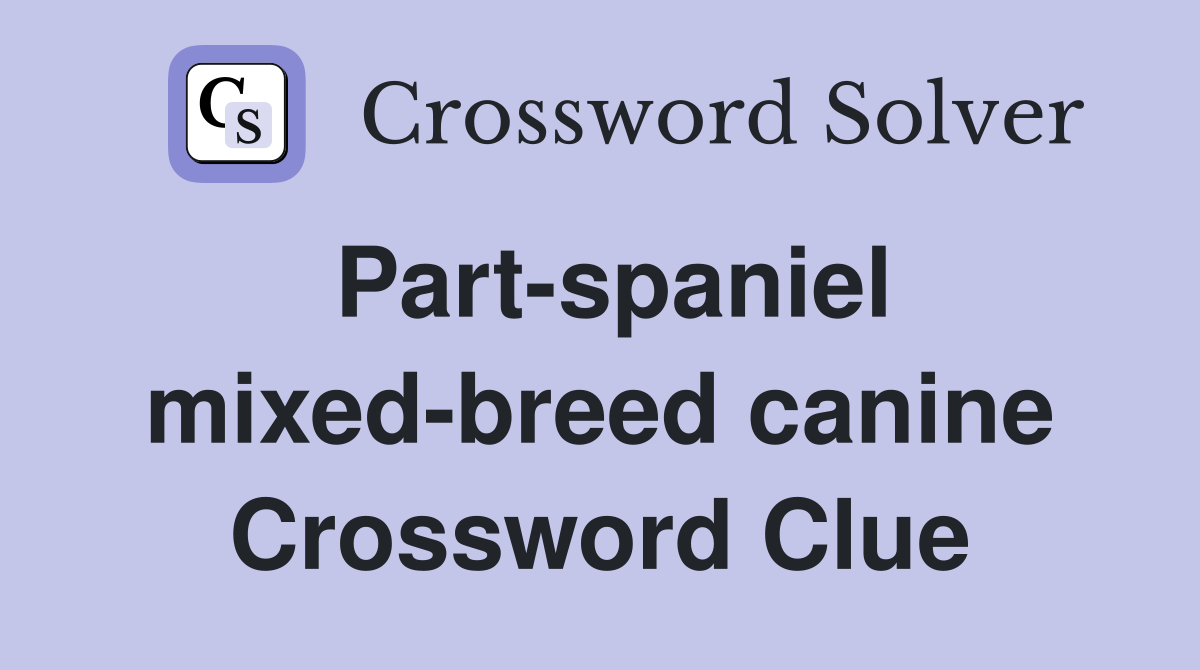 Part-spaniel mixed-breed canine Crossword Clue