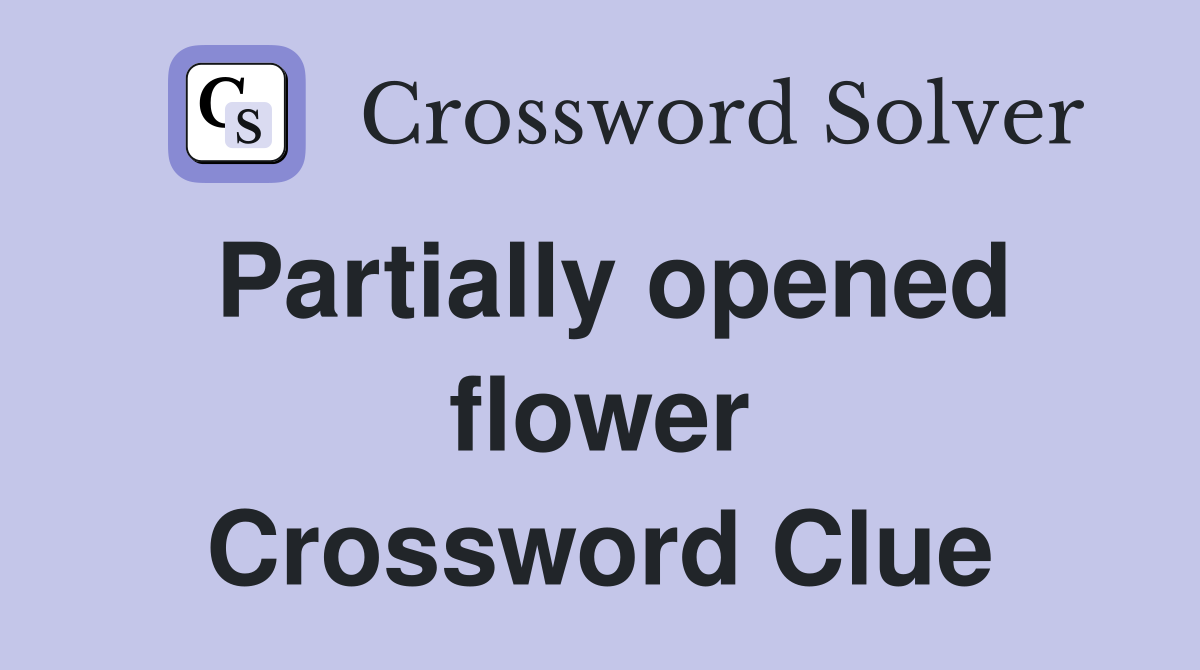 Partially opened flower Crossword Clue