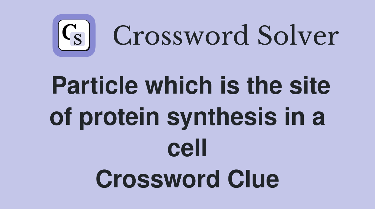 Particle which is the site of protein synthesis in a cell Crossword Clue