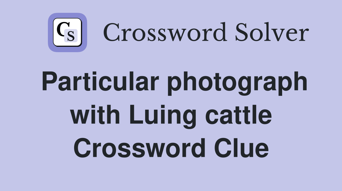 Particular photograph with Luing cattle Crossword Clue
