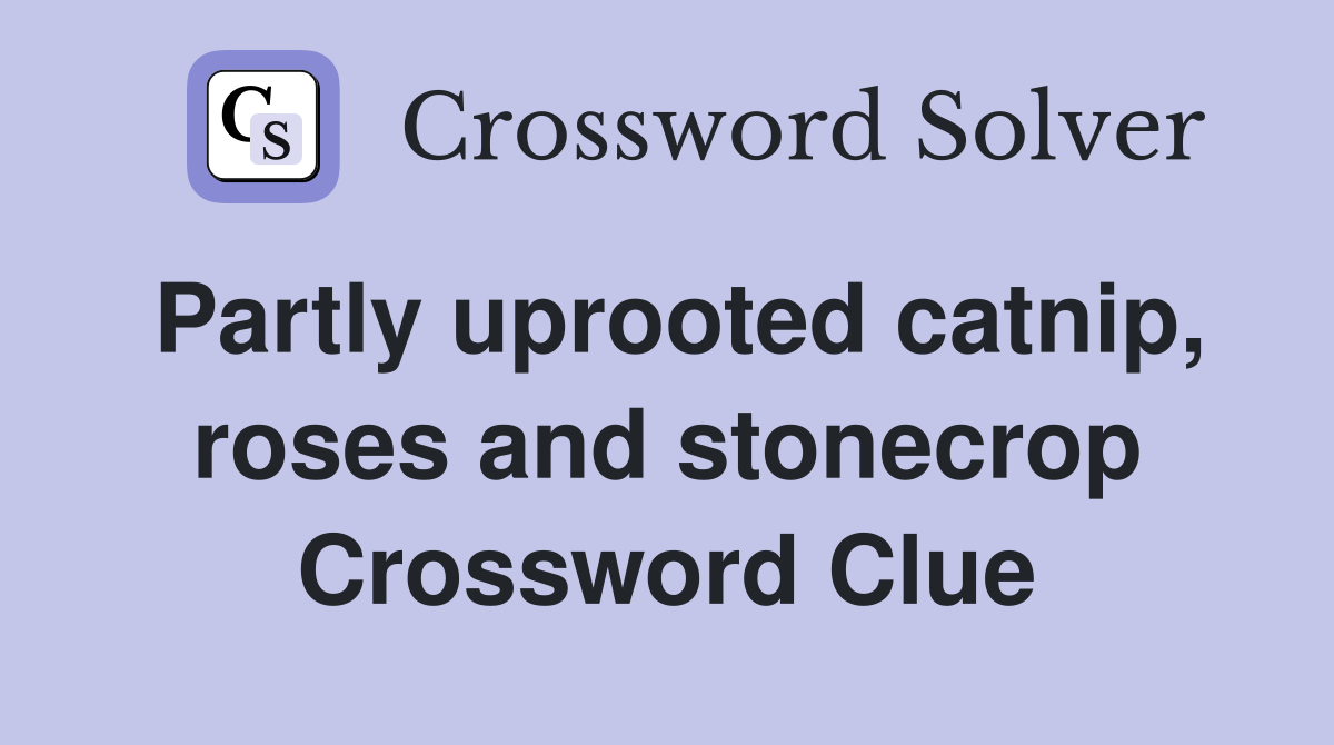 Partly uprooted catnip, roses and stonecrop Crossword Clue