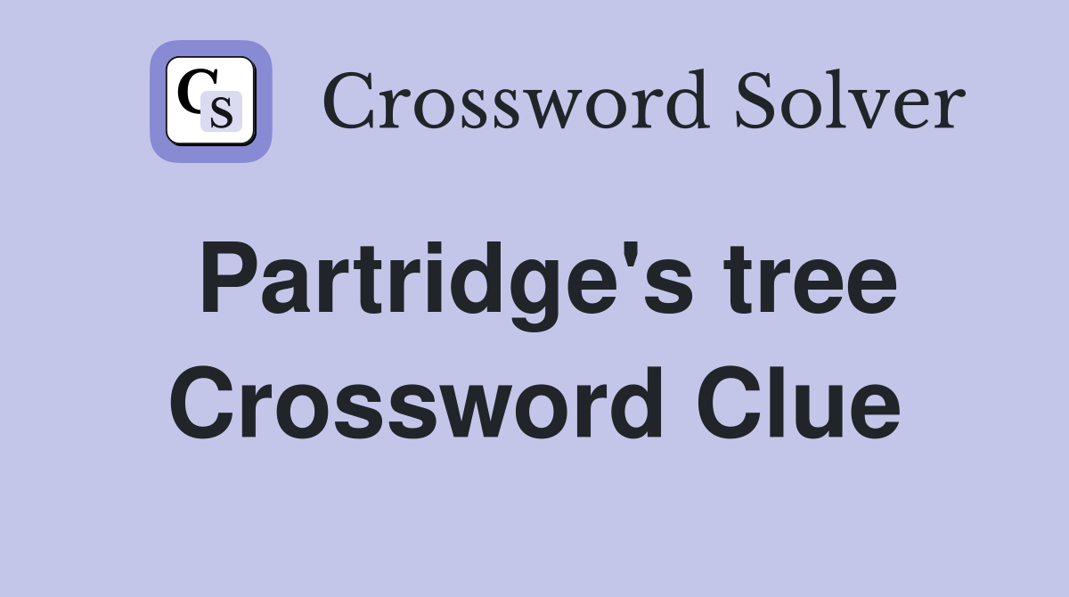 Partridge's tree Crossword Clue