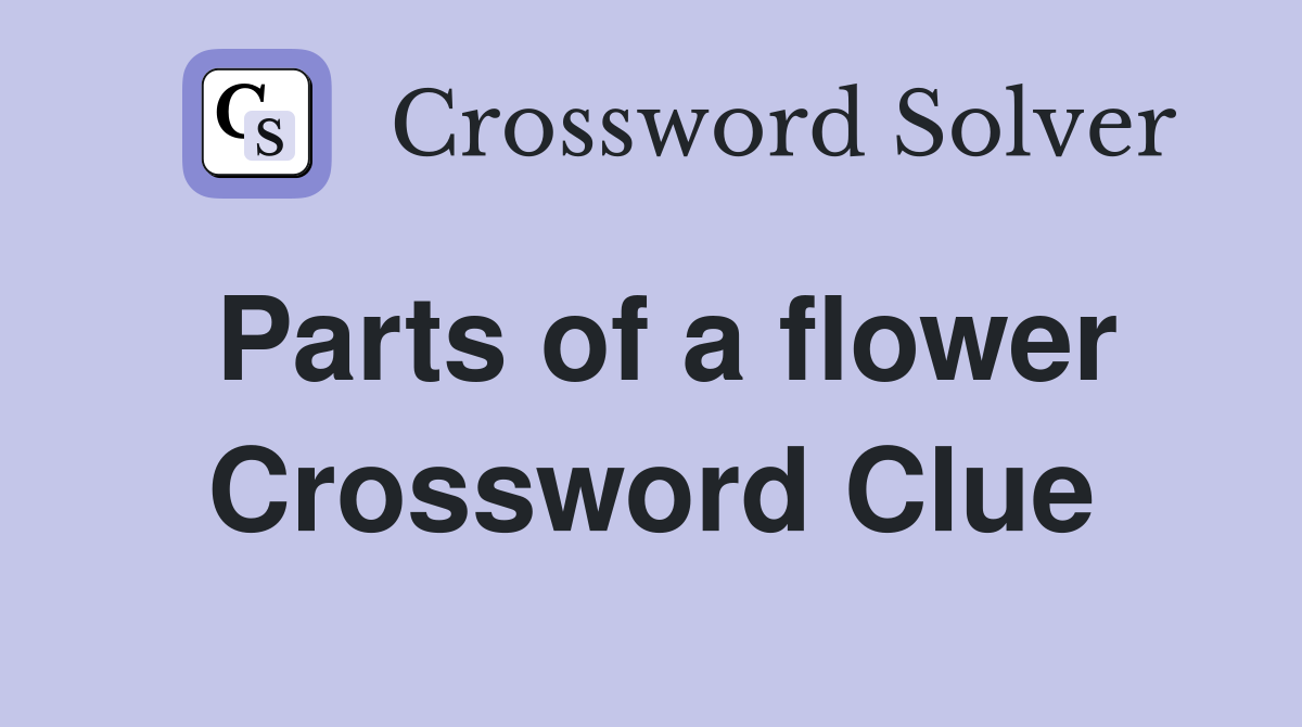 Parts of a flower Crossword Clue