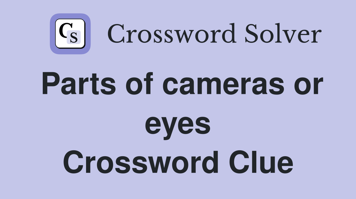 Parts of cameras or eyes Crossword Clue
