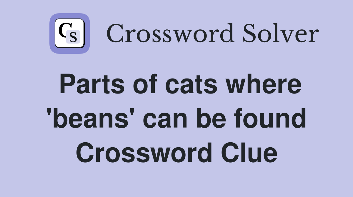 Parts of cats where 'beans' can be found Crossword Clue