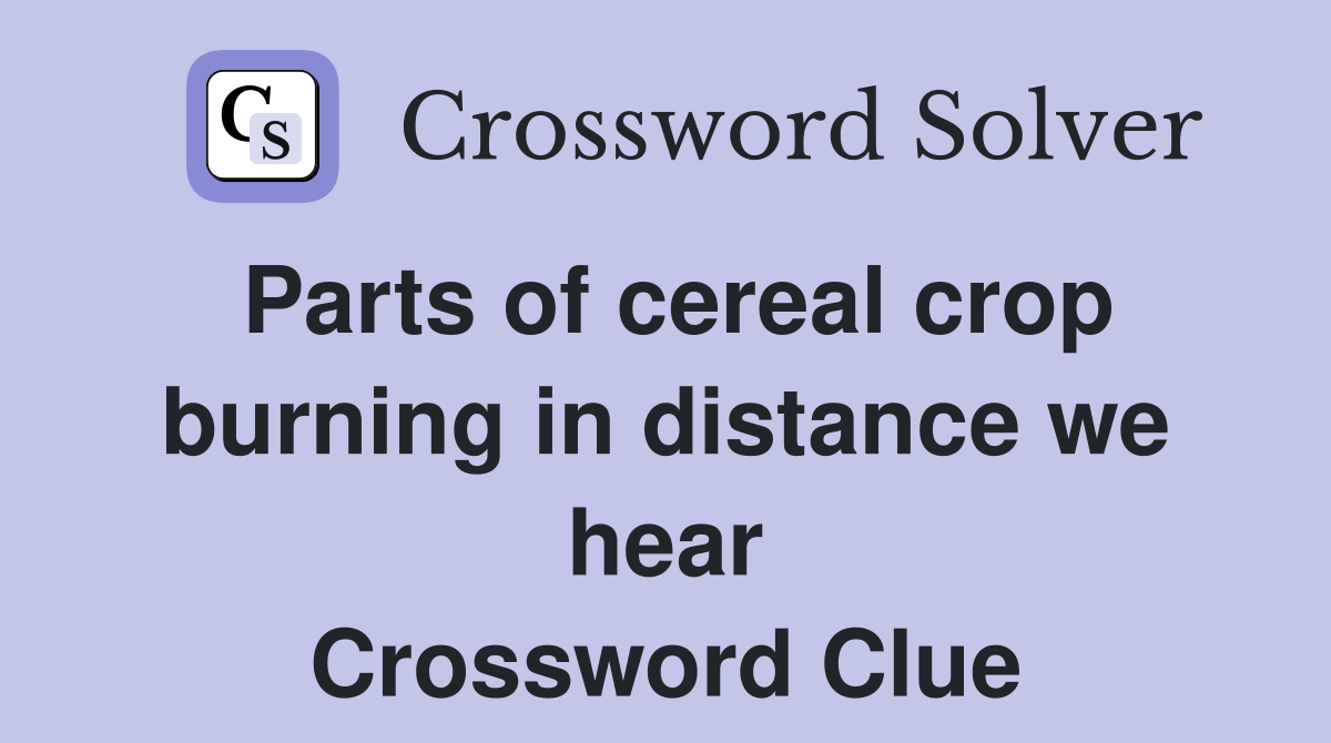 Parts of cereal crop burning in distance we hear Crossword Clue