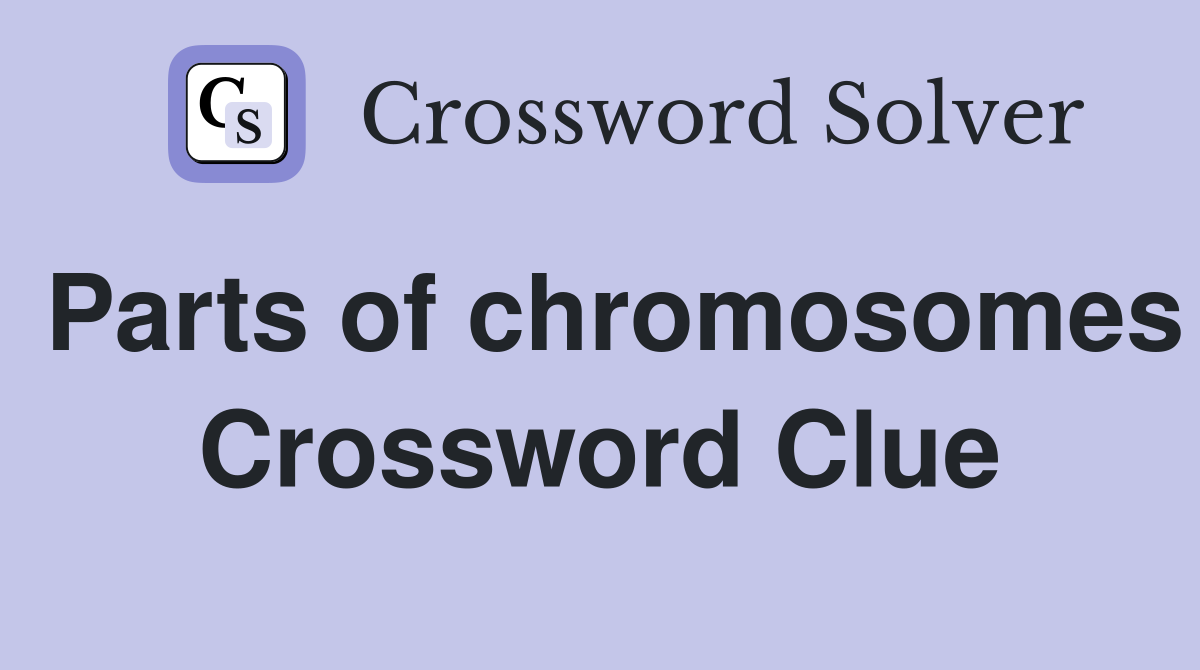 Parts of chromosomes Crossword Clue