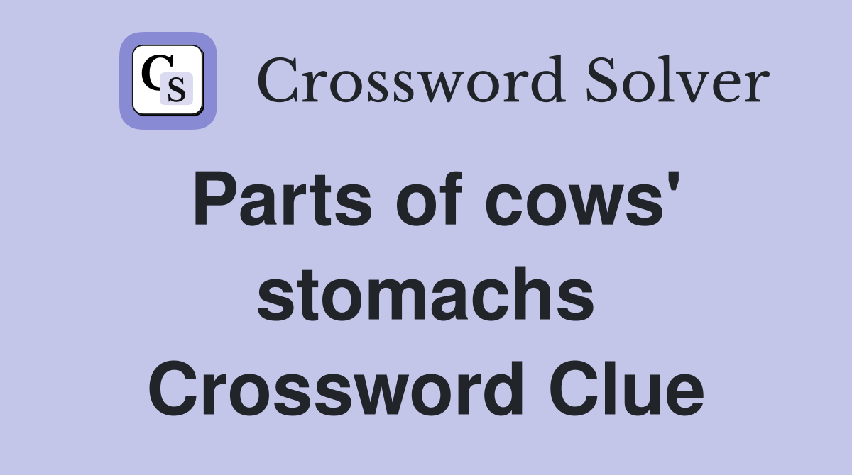 Parts of cows' stomachs Crossword Clue