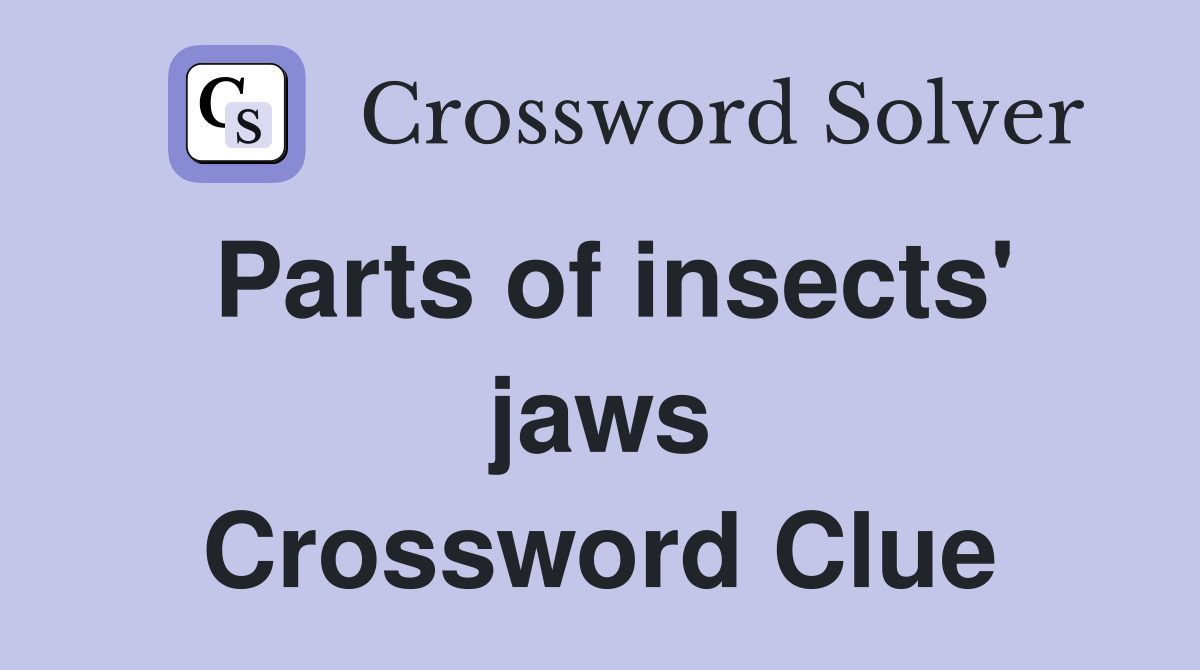 Parts of insects' jaws Crossword Clue