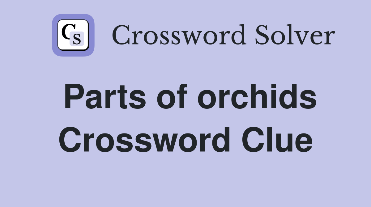 Parts of orchids Crossword Clue