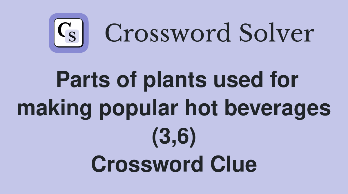 Parts of plants used for making popular hot beverages (3,6) Crossword Clue