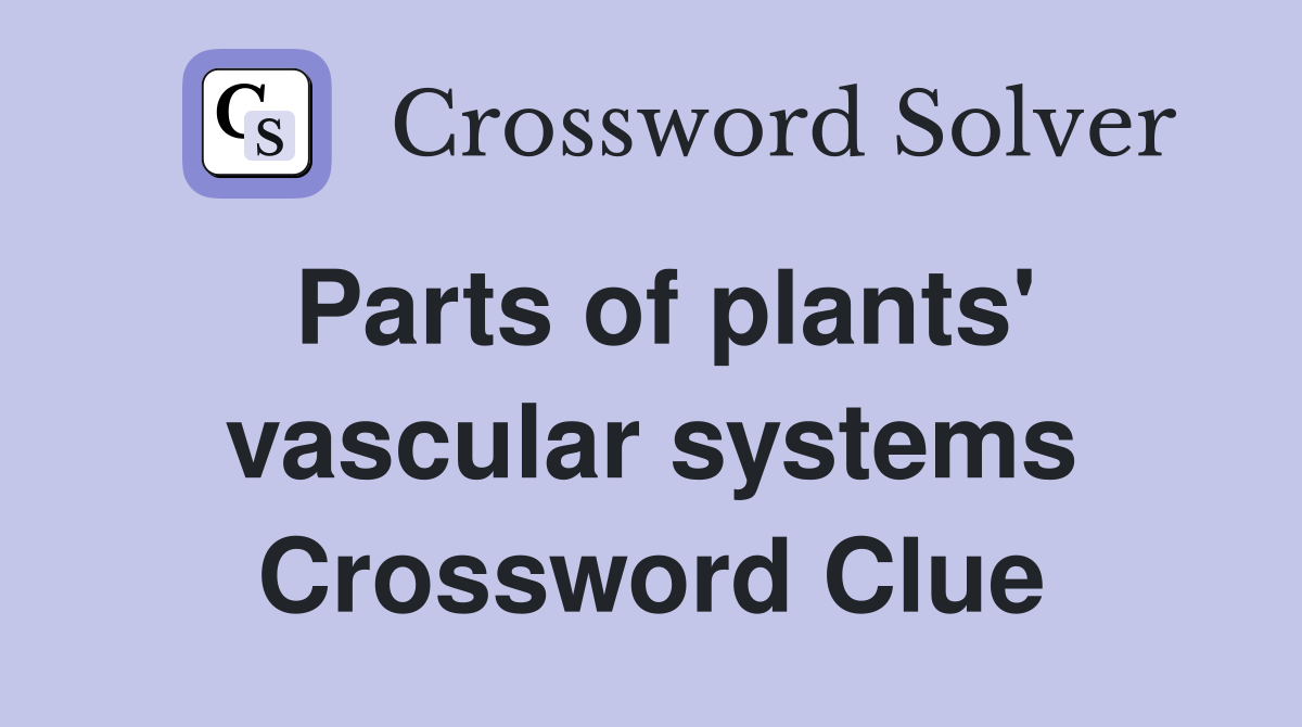 Parts of plants' vascular systems Crossword Clue