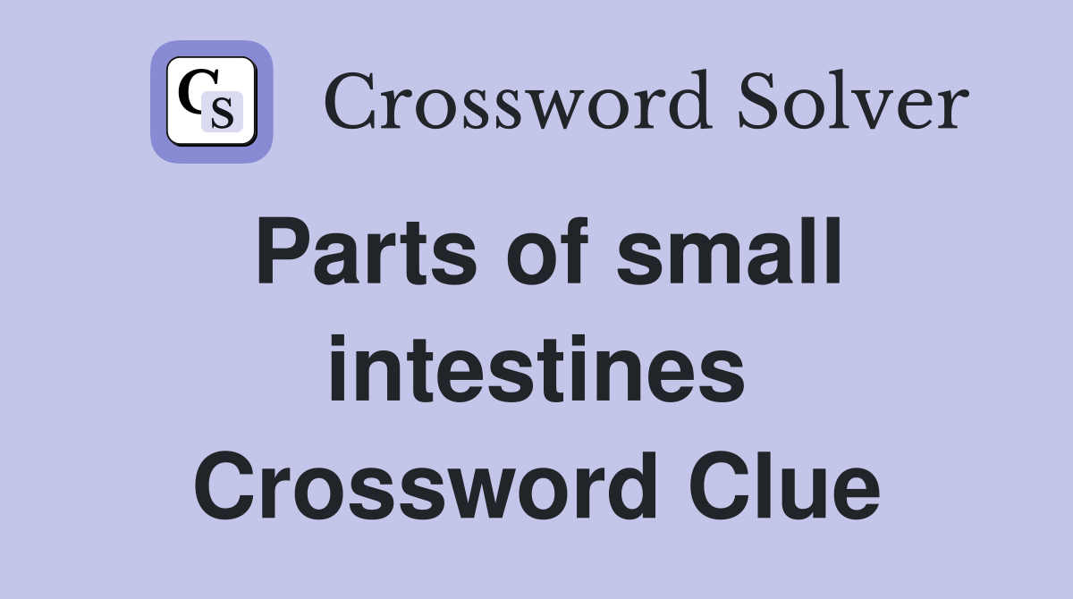 Parts of small intestines Crossword Clue