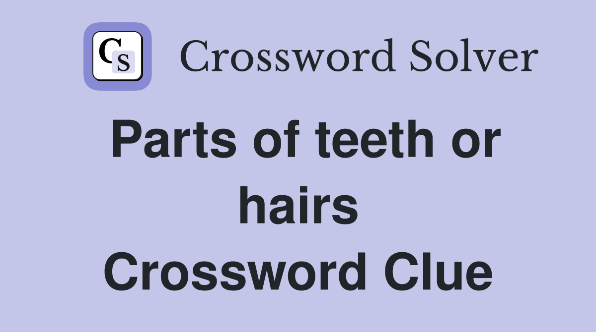 Parts of teeth or hairs Crossword Clue