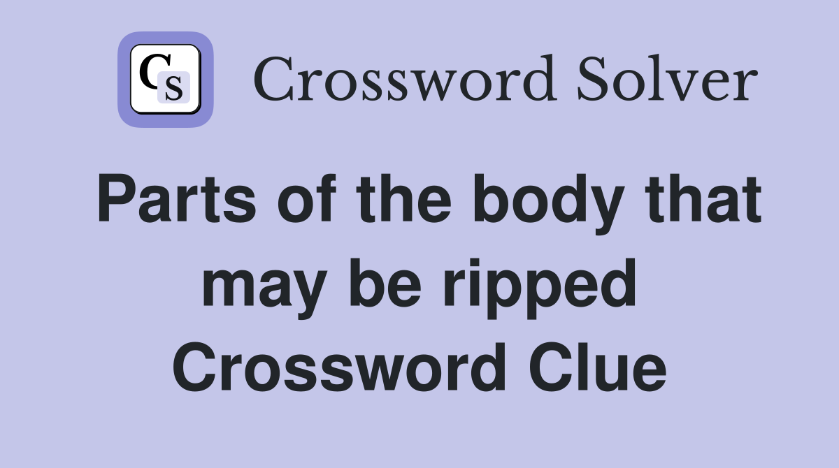 Parts of the body that may be ripped Crossword Clue