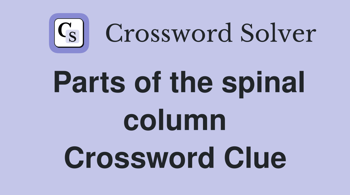 Parts of the spinal column Crossword Clue