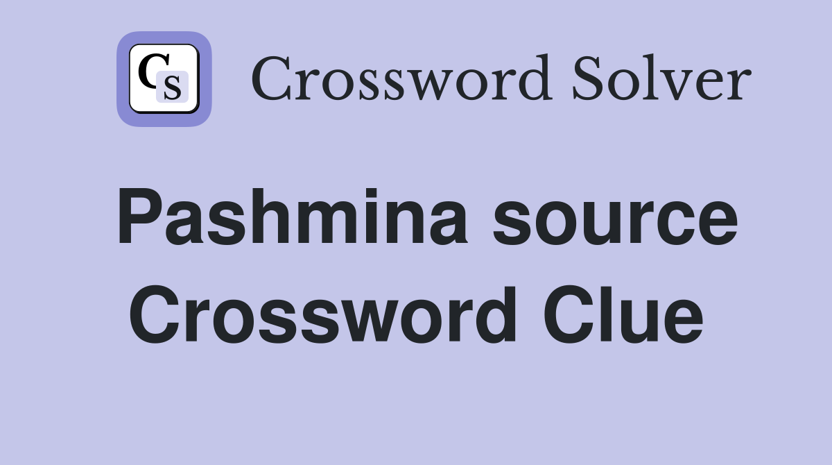 Pashmina source Crossword Clue