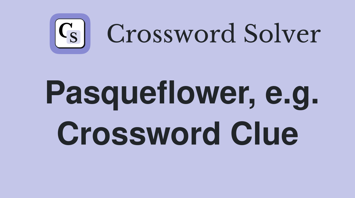 Pasqueflower, e.g. Crossword Clue