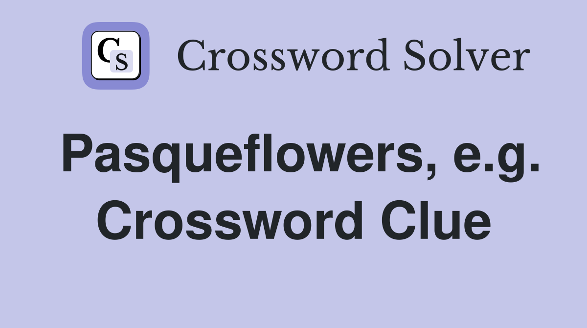 Pasqueflowers, e.g. Crossword Clue