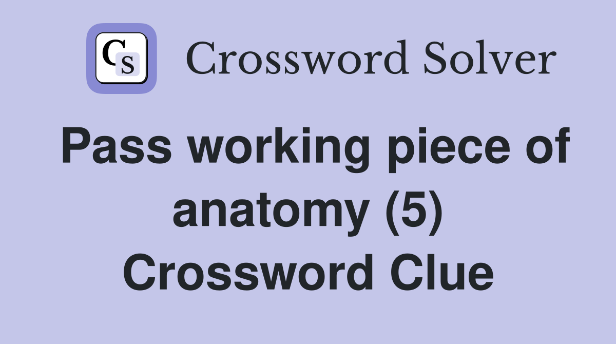 Pass working piece of anatomy (5) Crossword Clue