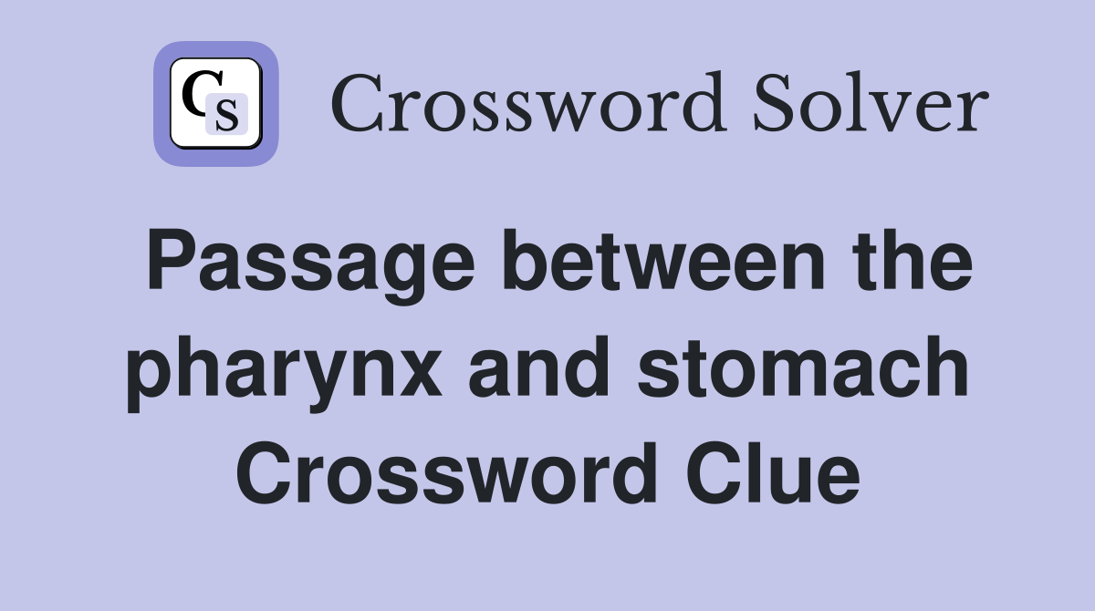 Passage between the pharynx and stomach Crossword Clue