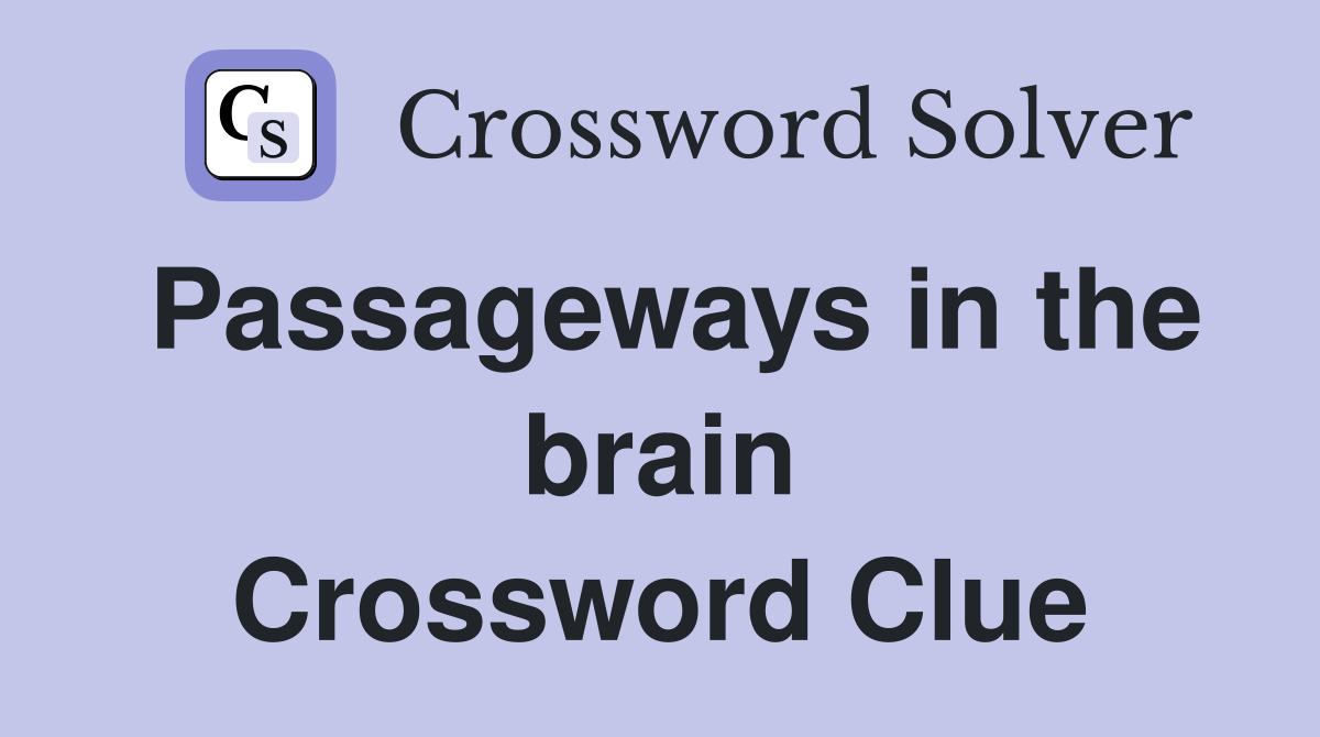 Passageways in the brain Crossword Clue