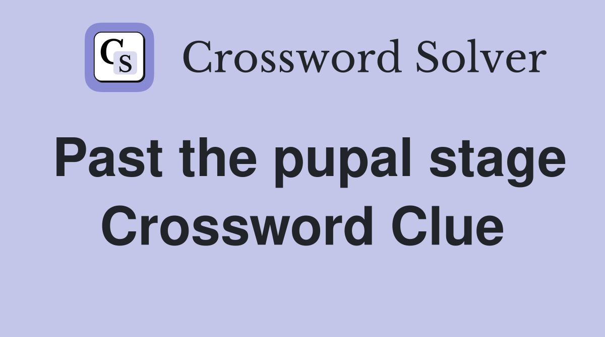 Past the pupal stage Crossword Clue